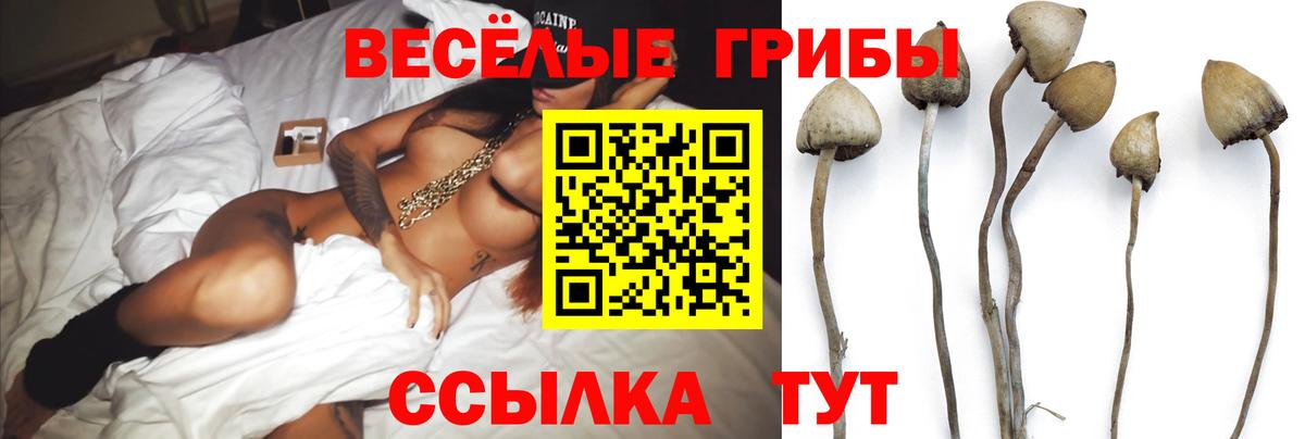 Псилоцибиновые грибы мухоморы  Псилоцибиновые грибы Psilocybe  Вход с VPN  Нефтекумск 
